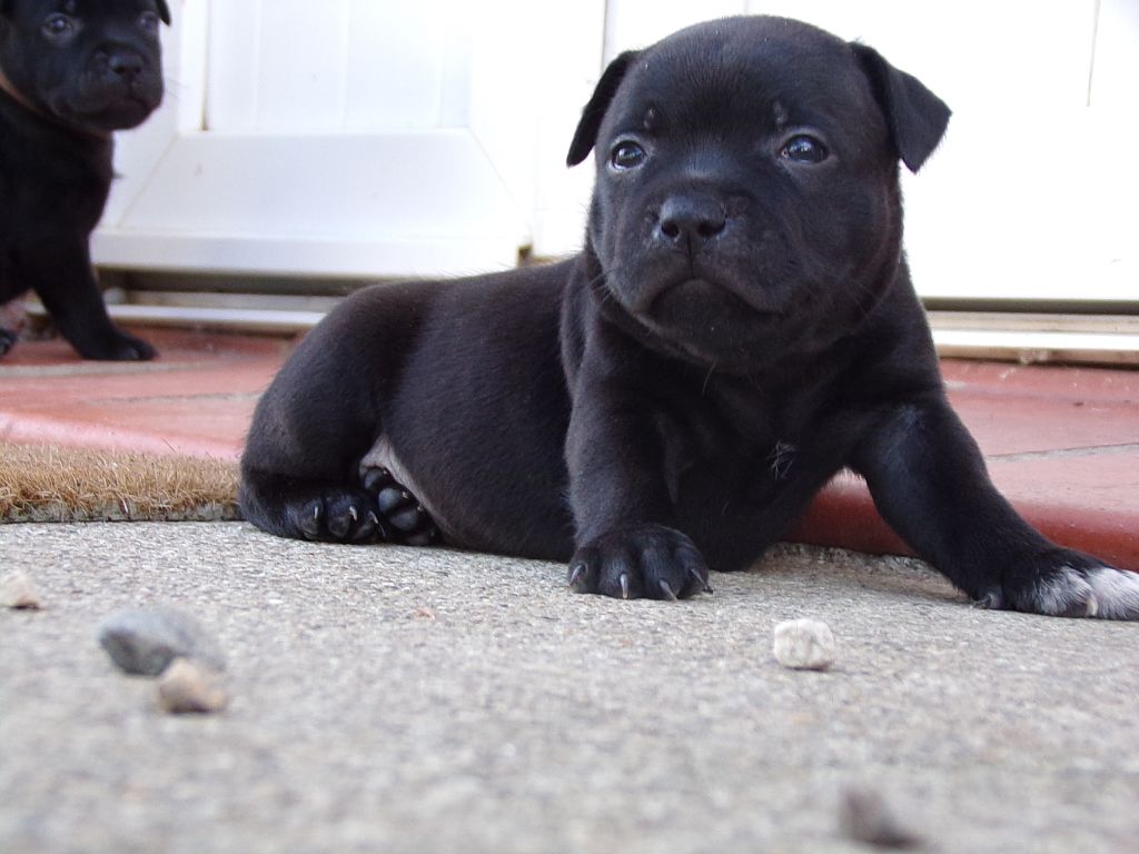 Nos bébés ont 1mois déjà !!!